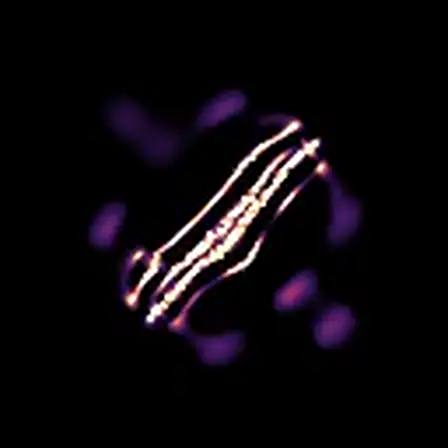 Motile high-tortuosity morphology