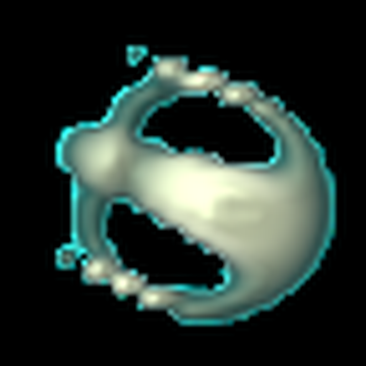 Compiled Orbium at step 300.